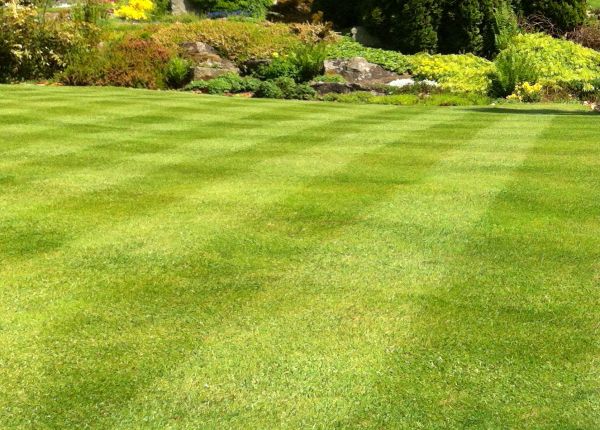 Commercial Grass Cutting in Panama City Beach