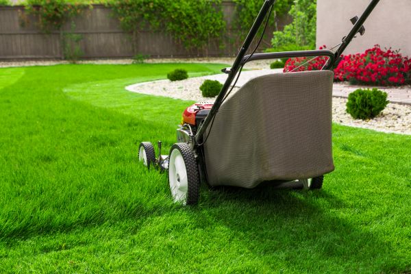 Home Yard Maintenance in Panama City Beach