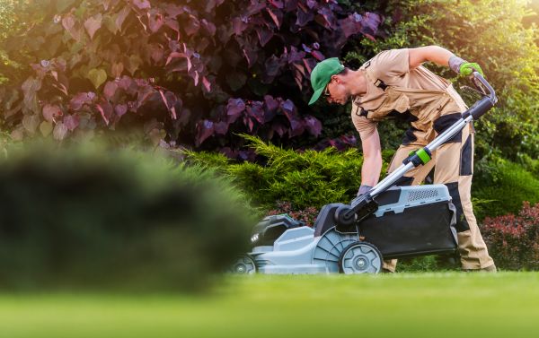 Lawn Care And Maintenance in Panama City Beach