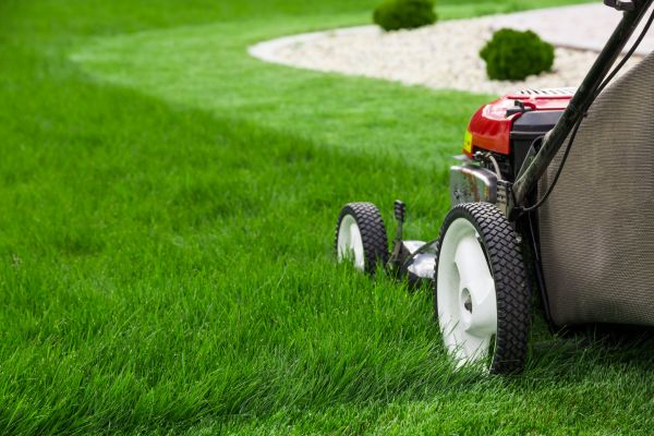 Lawn Cutting Service in Panama City Beach