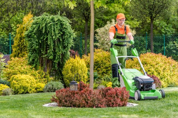 Yard Service in Panama City Beach