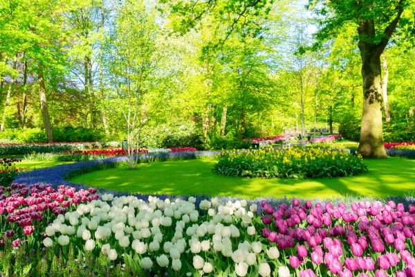 Spring Lawn Care in Panama City Beach