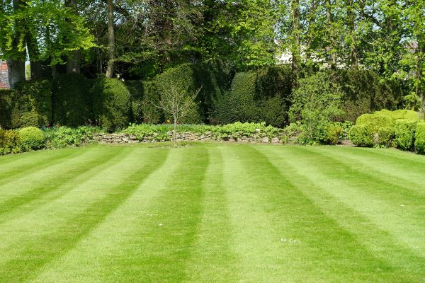 Grass Care Service in Panama City Beach