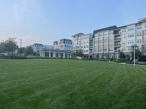 Cost of Urban Lawn Care in Panama City Beach