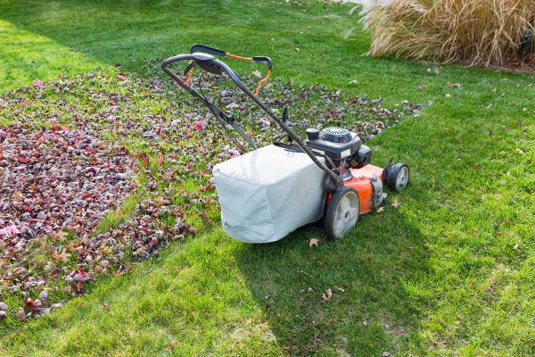 Seasonal Lawn Care in Panama City Beach
