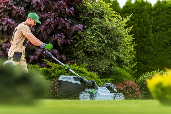 Lawn Management in Panama City Beach
