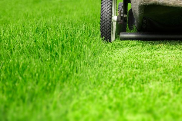 Weekly Lawn Care in Panama City Beach