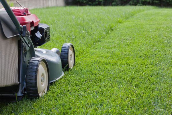 Summer Lawn Care in Panama City Beach