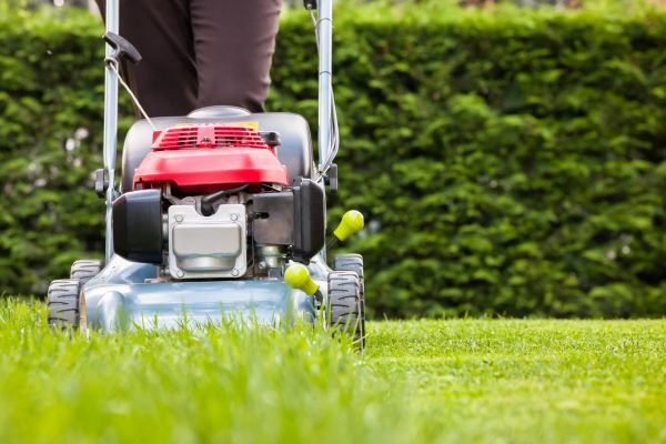 Grass Trimming Service in Panama City Beach