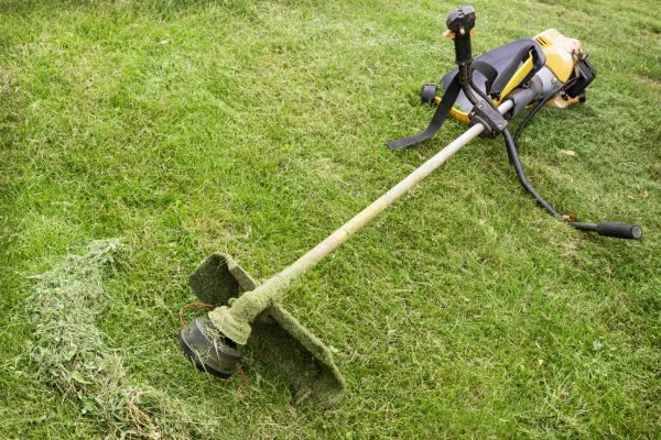 Hillside Weed Whacking in Panama City Beach