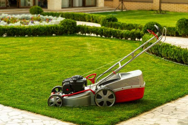 Business Grass Cutting in Panama City Beach