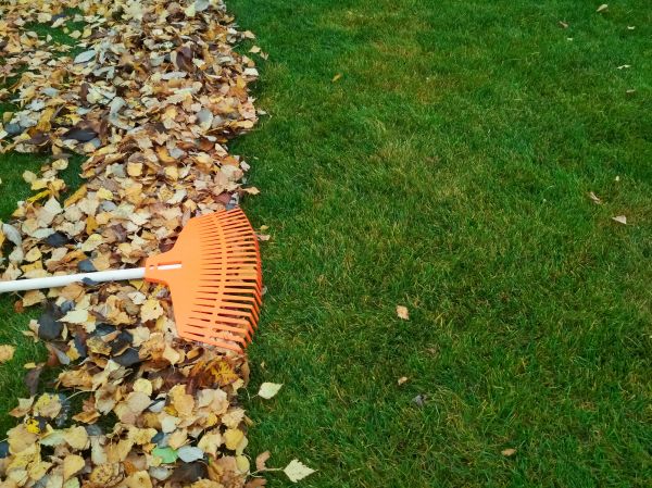 Fall Lawn Care in Panama City Beach