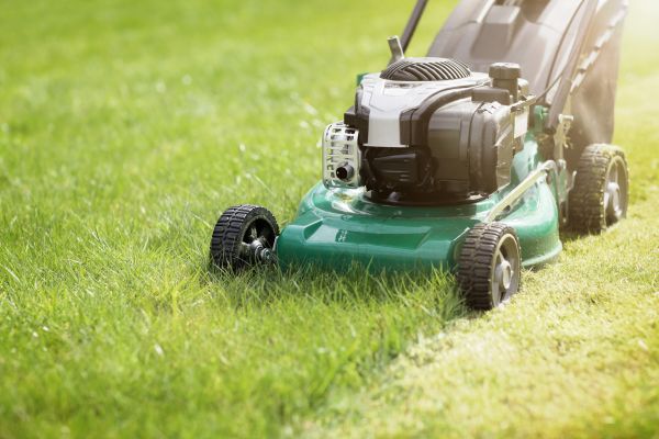 Spring Grass Trimming in Panama City Beach