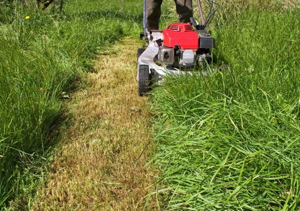 Leaf Mowing in Panama City Beach