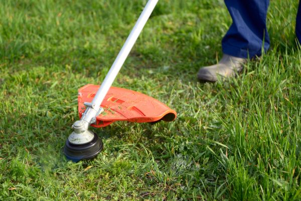 Lawn Weed Whacking in Panama City Beach