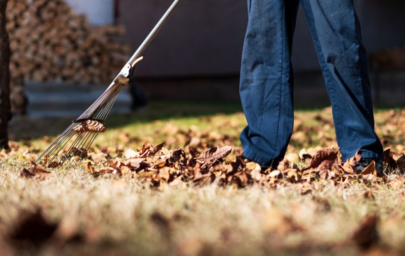 Leaf Raking Service