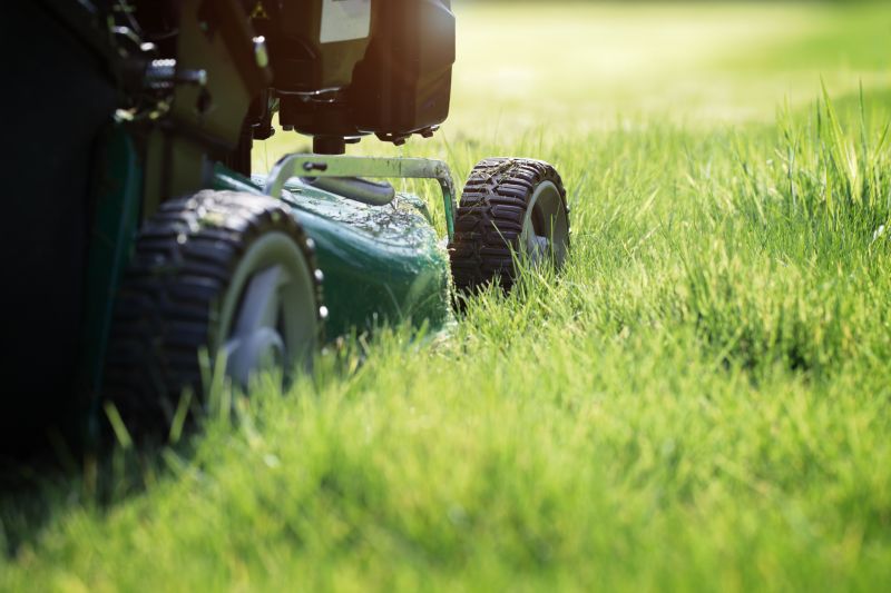 Summer Lawn Maintenance