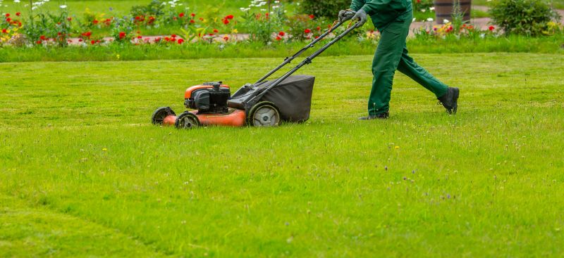 Weekly Lawn Maintenance
